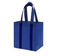 Non-woven Polypropylene Shopping Bags